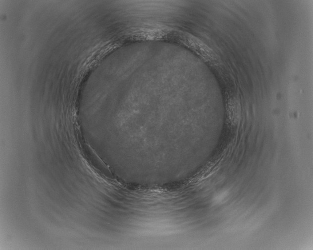 X0000076300594200610161555