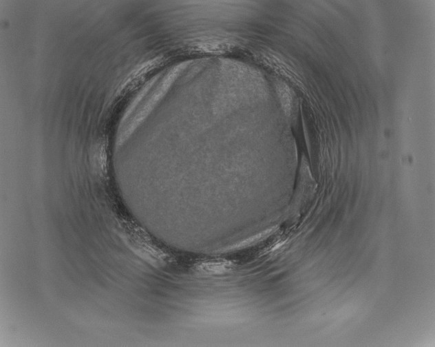 X0000076300595200610161555