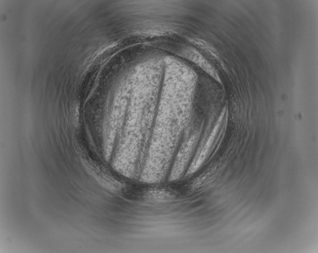 X0000076300596200610161555