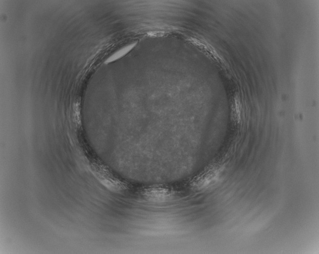 X0000076300598200610161555