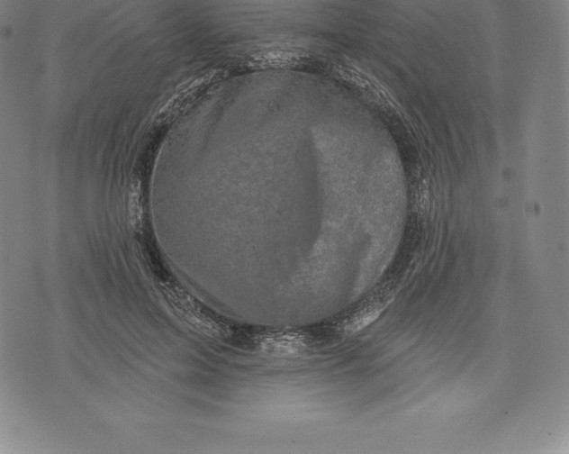 X0000076300599200610161555