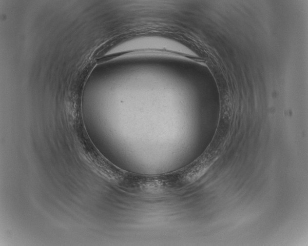 X0000076300600200610161555