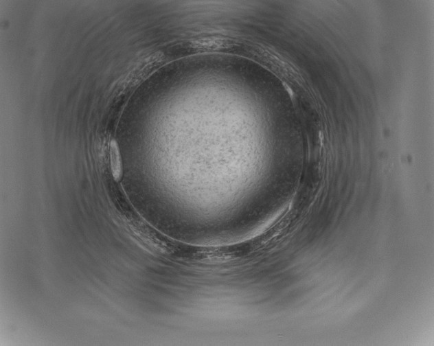 X0000076300601200610161555