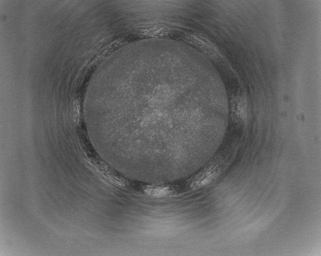 X0000076300602200610161555