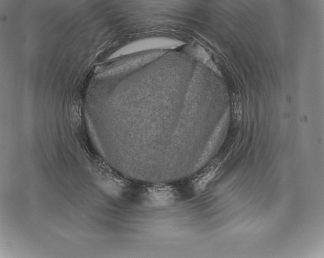 X0000076300603200610161555