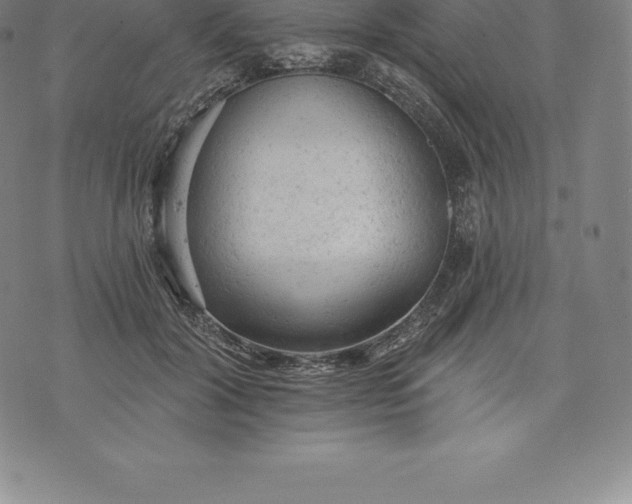 X0000076300604200610161555