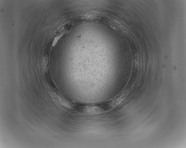 X0000076300605200610161555