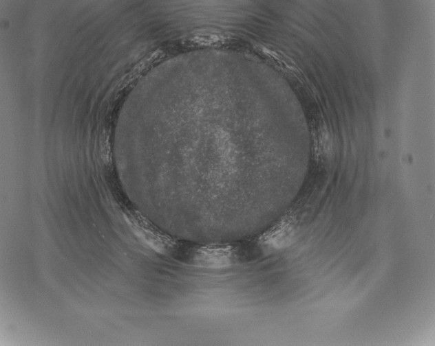 X0000076300606200610161555