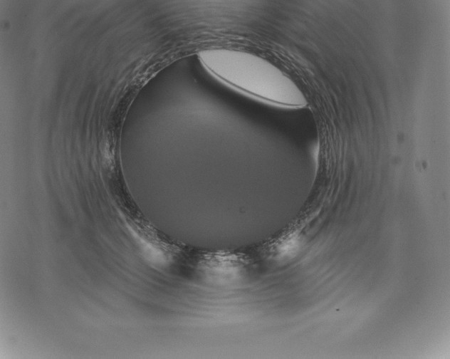 X0000076300607200610161555