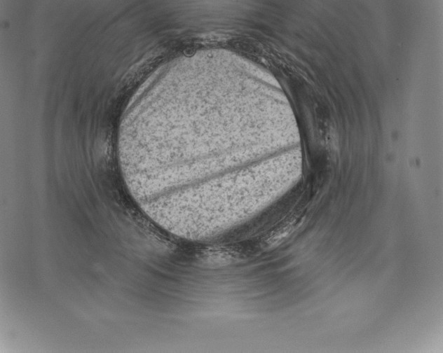 X0000076300608200610161555