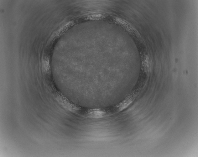 X0000076300610200610161555