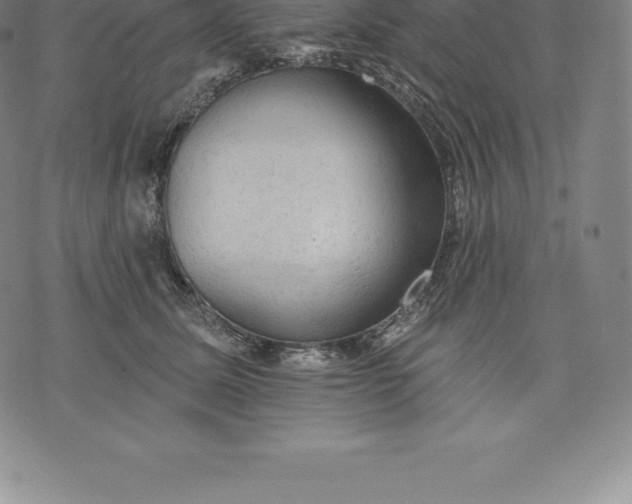 X0000076300611200610161555