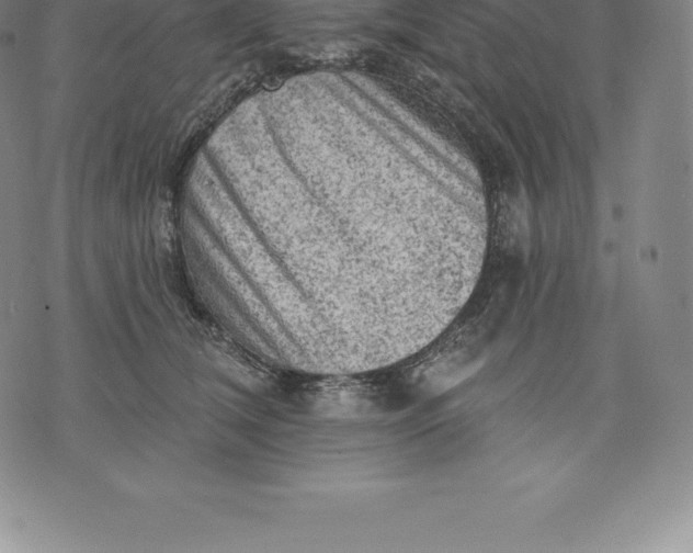 X0000076300612200610161555