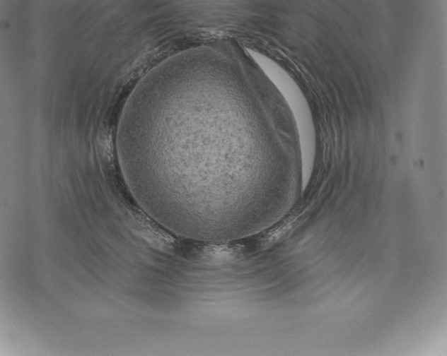 X0000076300613200610161555