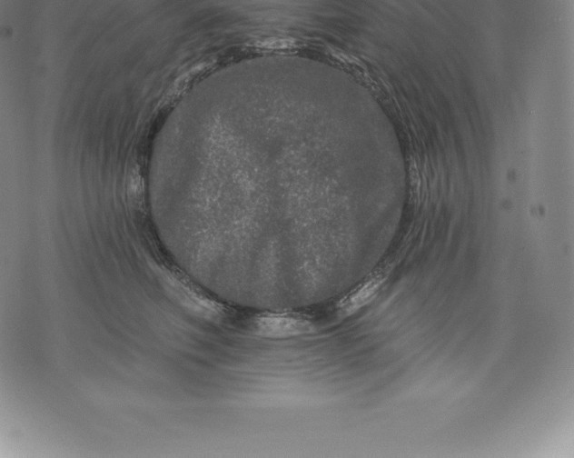 X0000076300614200610161555