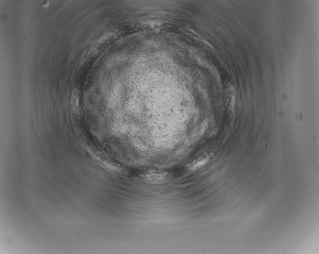 X0000076300615200610161555