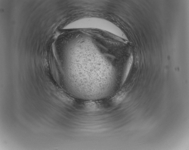 X0000076300616200610161555