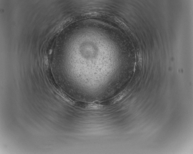 X0000076300617200610161555