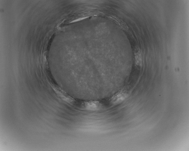 X0000076300618200610161555