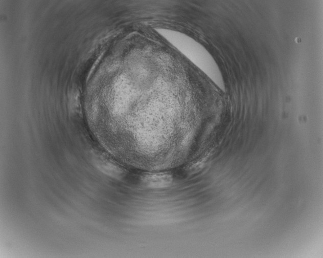 X0000076300619200610161555