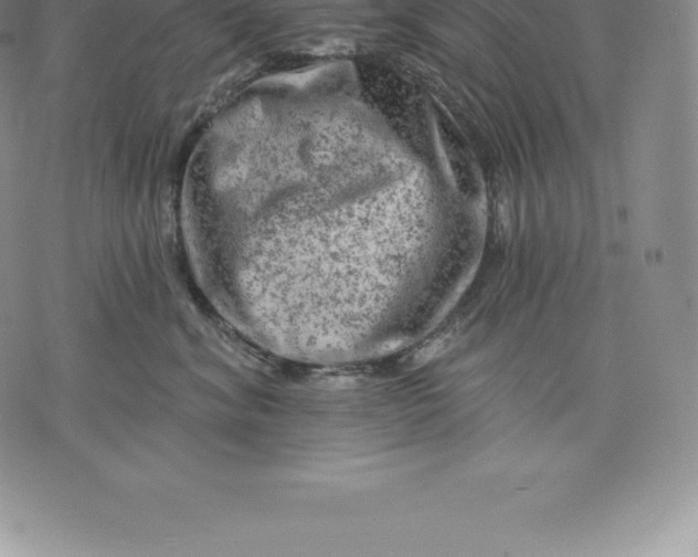 X0000076300620200610161555