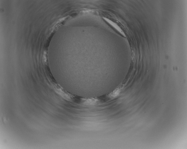 X0000076300621200610161555