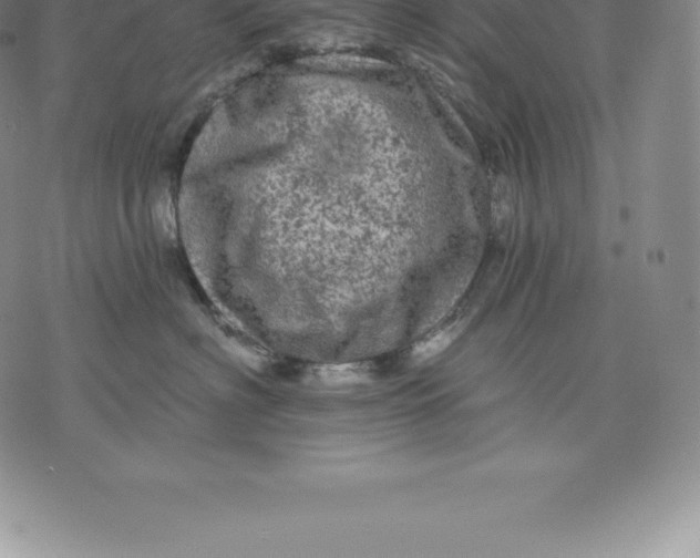 X0000076300622200610161555