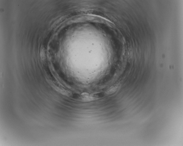 X0000076300623200610161555