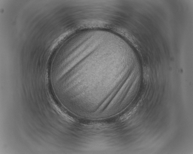 X0000076300629200610161554