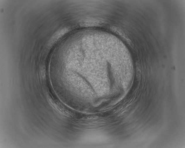 X0000076300631200610161554