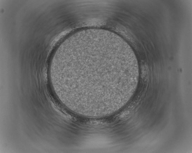 X0000076300632200610161554