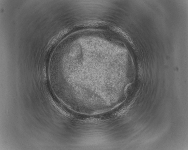 X0000076300633200610161554