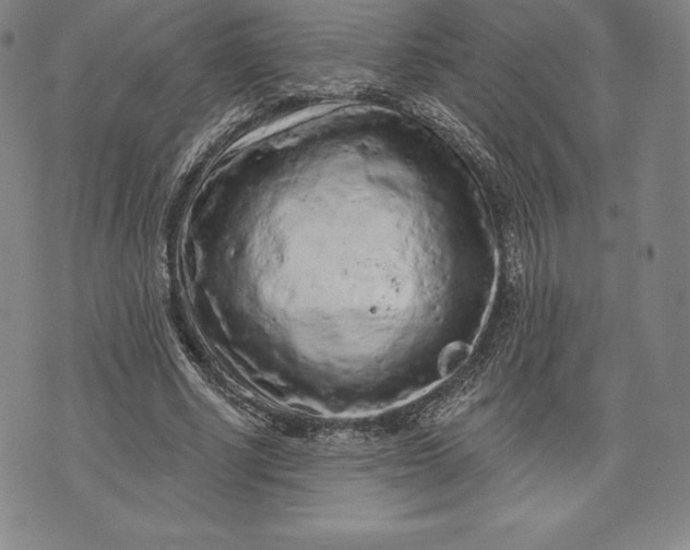 X0000076300634200610161554