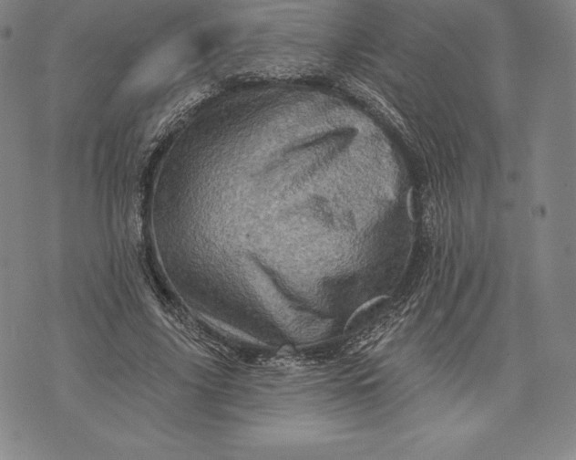 X0000076300635200610161554