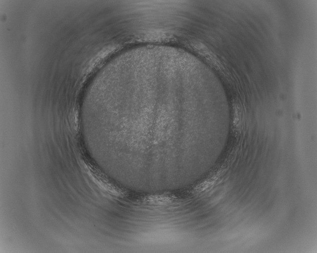 X0000076300636200610161554