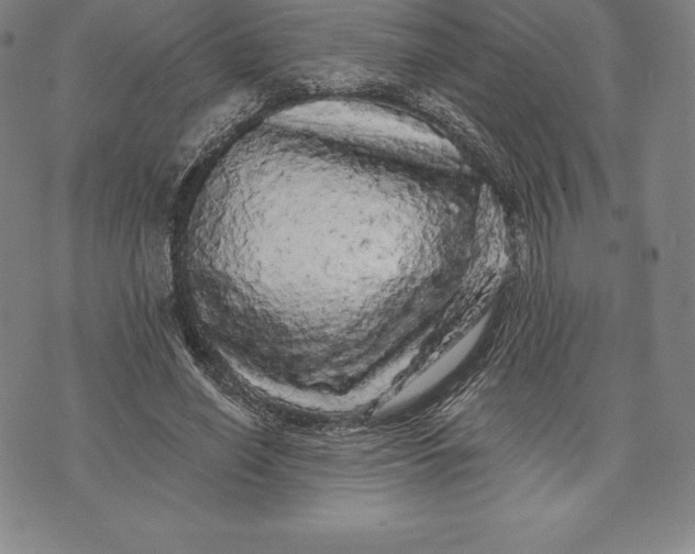 X0000076300638200610161554