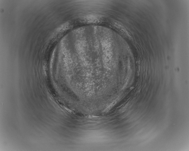 X0000076300643200610161554