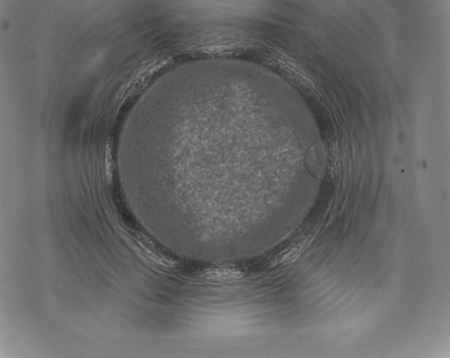 X0000076300644200610161554