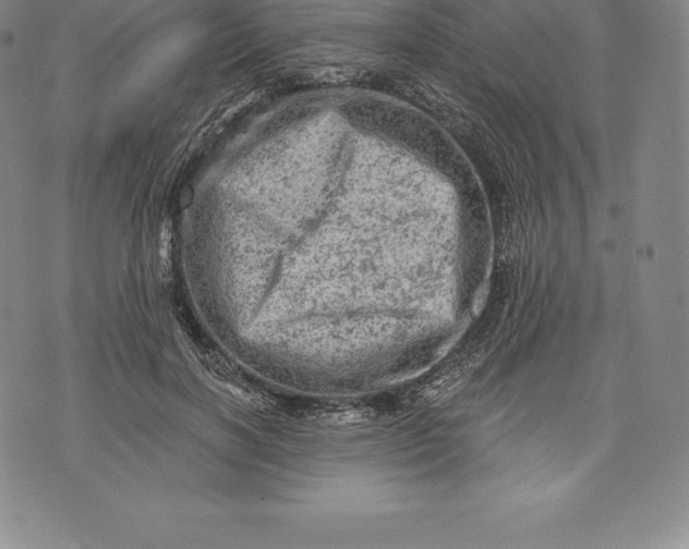 X0000076300646200610161554