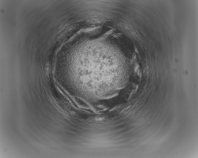 X0000076300647200610161554