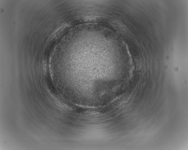 X0000076300648200610161554