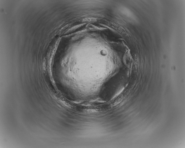 X0000076300649200610161554