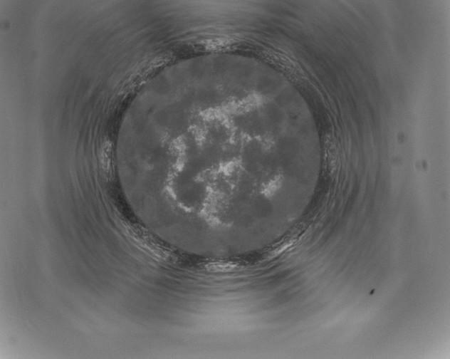 X0000076300650200610161554