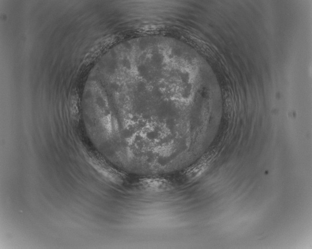 X0000076300654200610161555