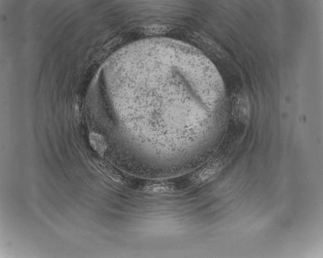 X0000076300655200610161555