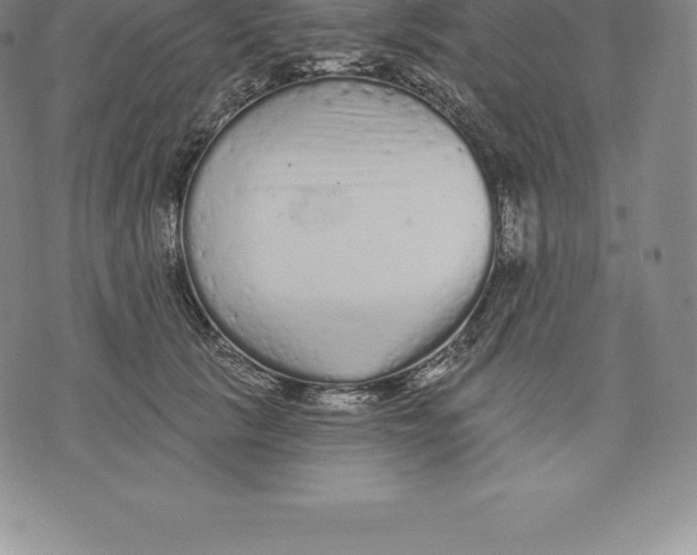 X0000076300657200610161555