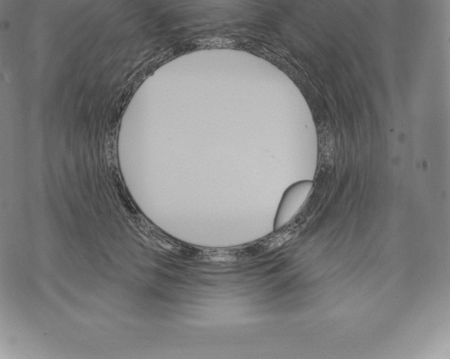 X0000076300658200610161555