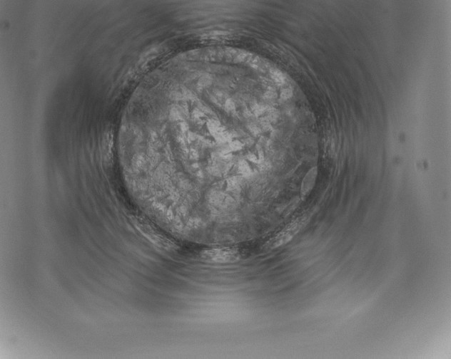 X0000076300660200610161555