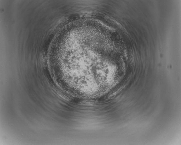 X0000076300661200610161555