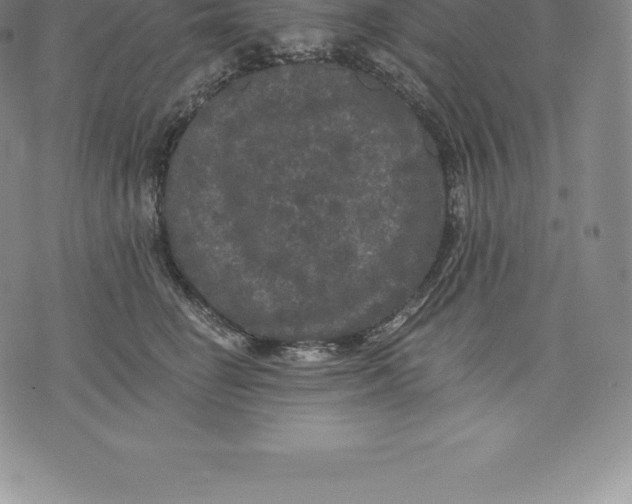 X0000076300662200610161555